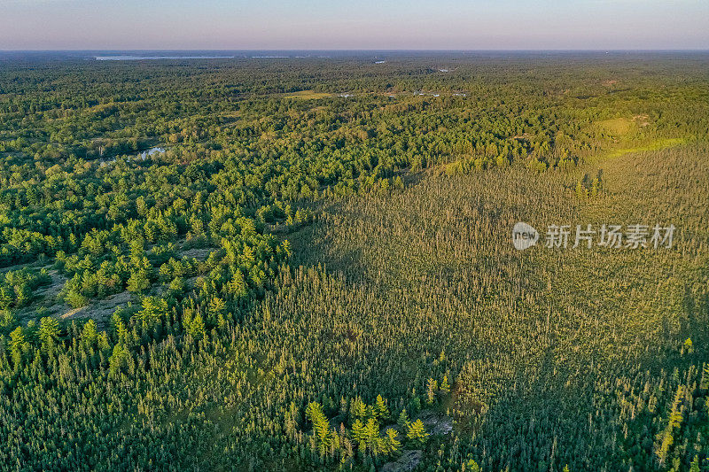 黄昏时的Muskoka Torrance Barrens Dark-Sky保护区，Gravenhurst，加拿大